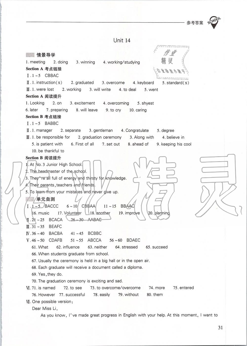 2019年新课程问题解决导学方案九年级英语全一册人教版 第31页