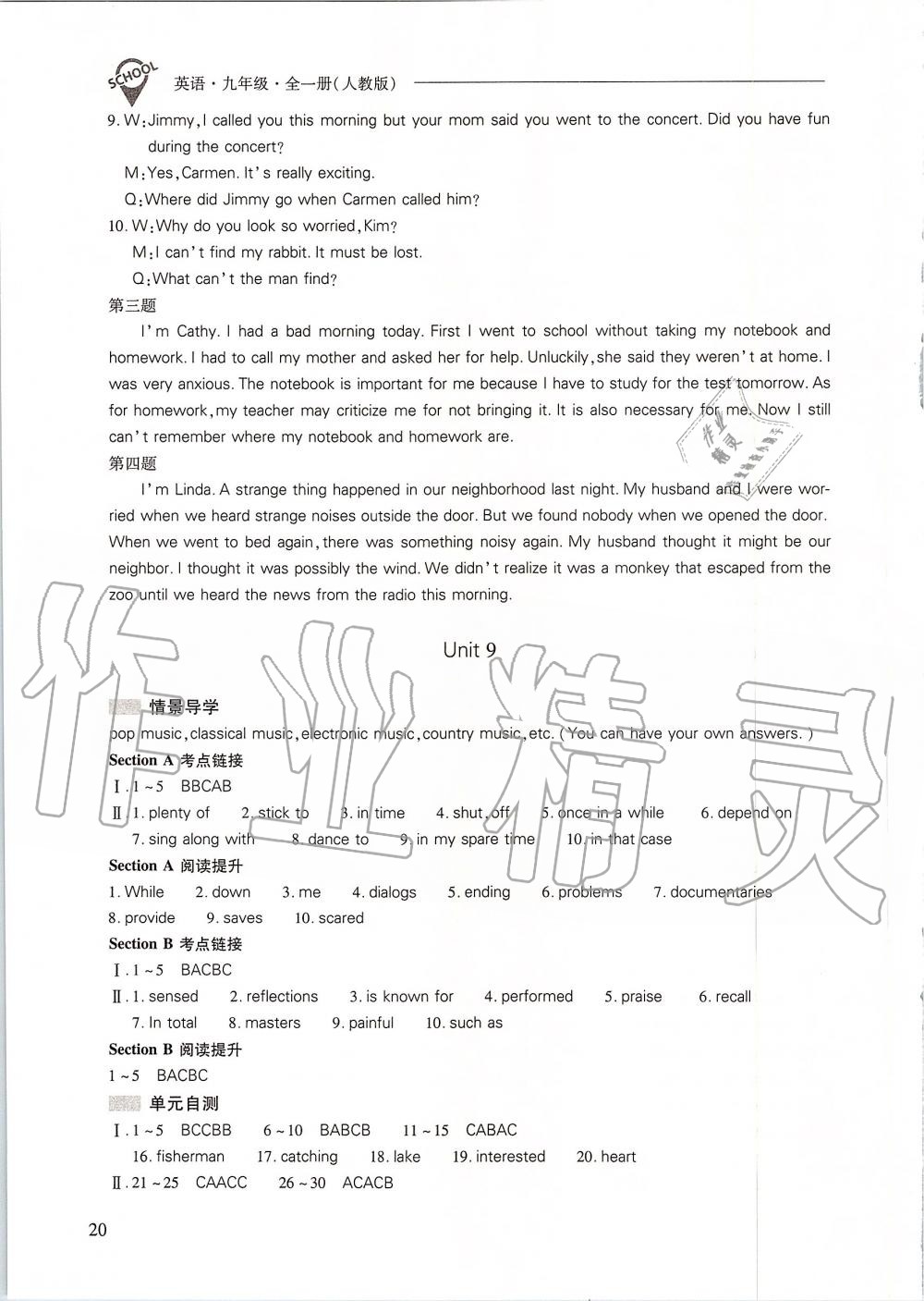 2019年新课程问题解决导学方案九年级英语全一册人教版 第20页