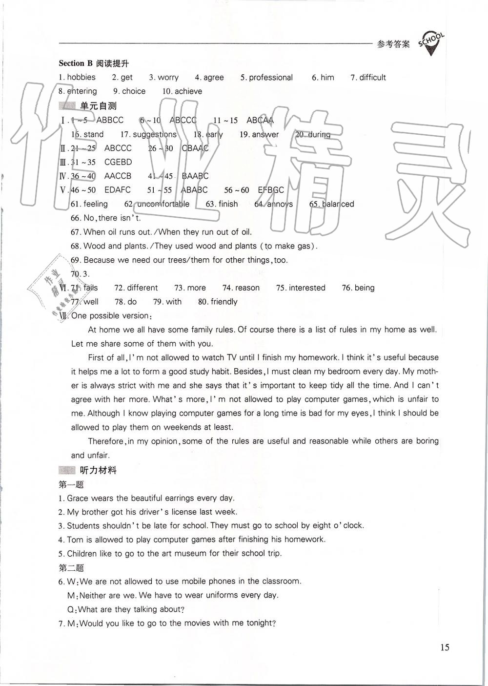 2019年新课程问题解决导学方案九年级英语全一册人教版 第15页