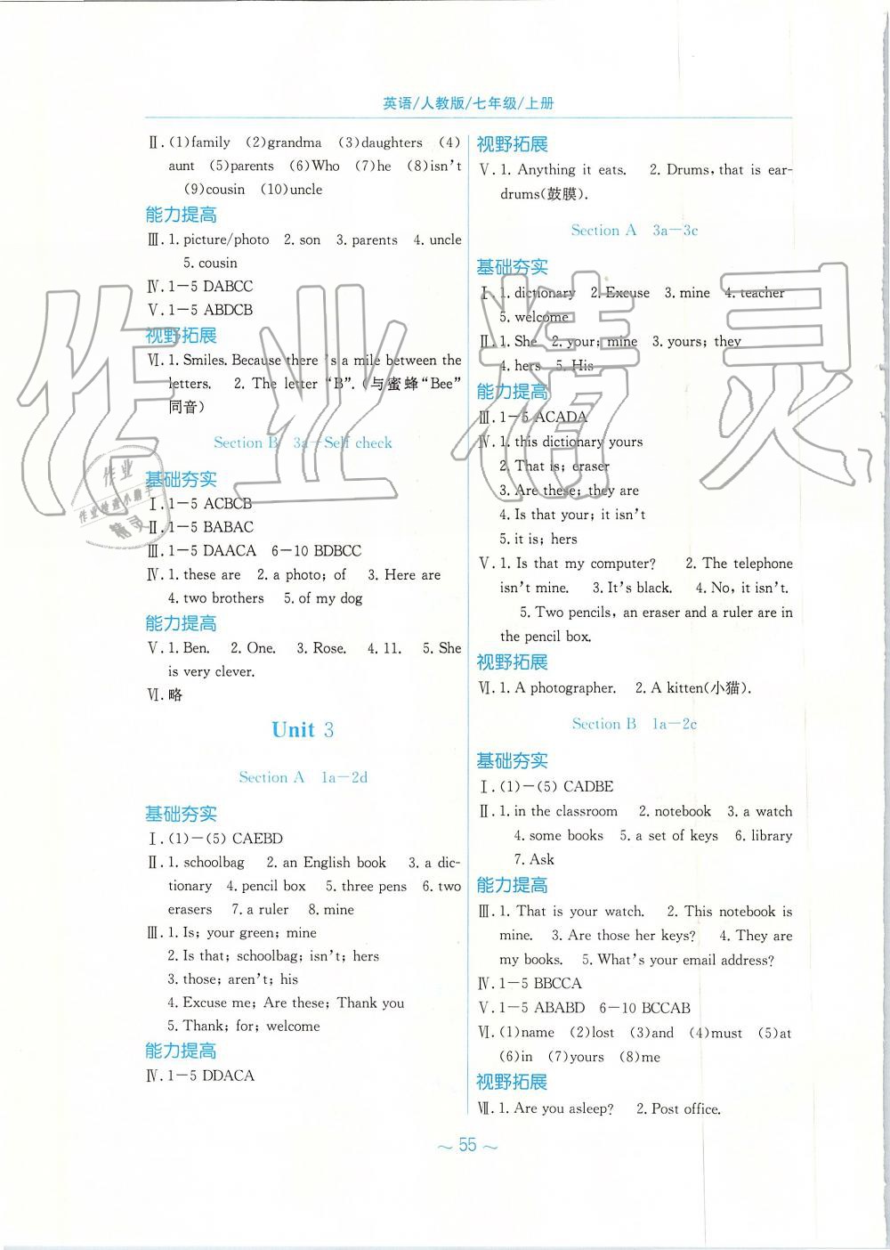 2019年新编基础训练七年级英语上册人教版 第3页