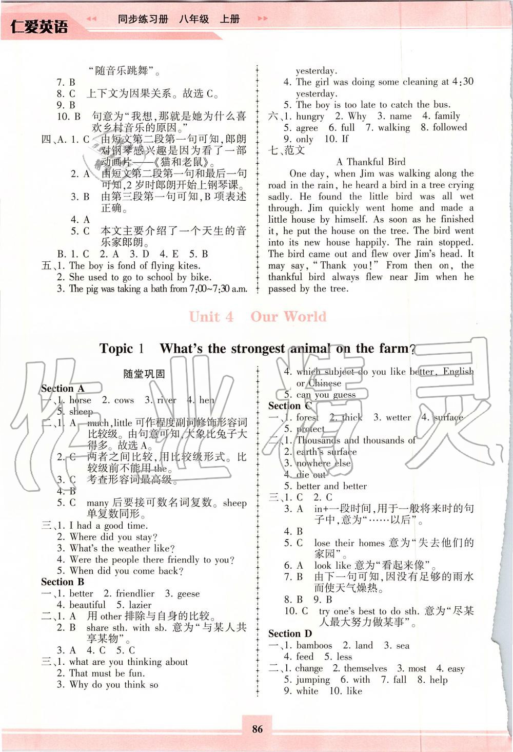 2019年仁爱英语同步练习册八年级上册仁爱版福建专版 第13页