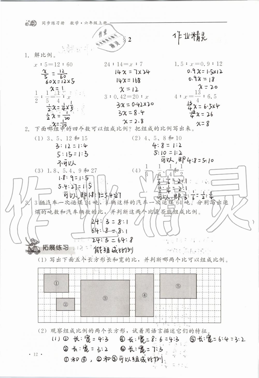 2019年同步练习册六年级数学上册冀教版河北教育出版社 第12页