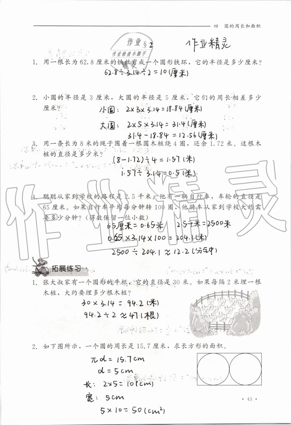 2019年同步練習(xí)冊六年級數(shù)學(xué)上冊冀教版河北教育出版社 第43頁