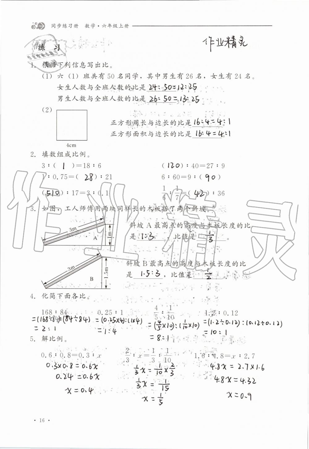 2019年同步练习册六年级数学上册冀教版河北教育出版社 第16页