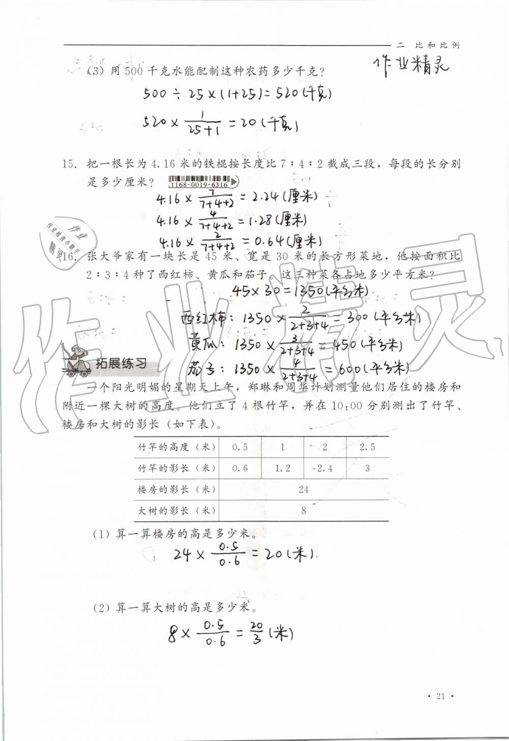 2019年同步练习册六年级数学上册冀教版河北教育出版社 第21页