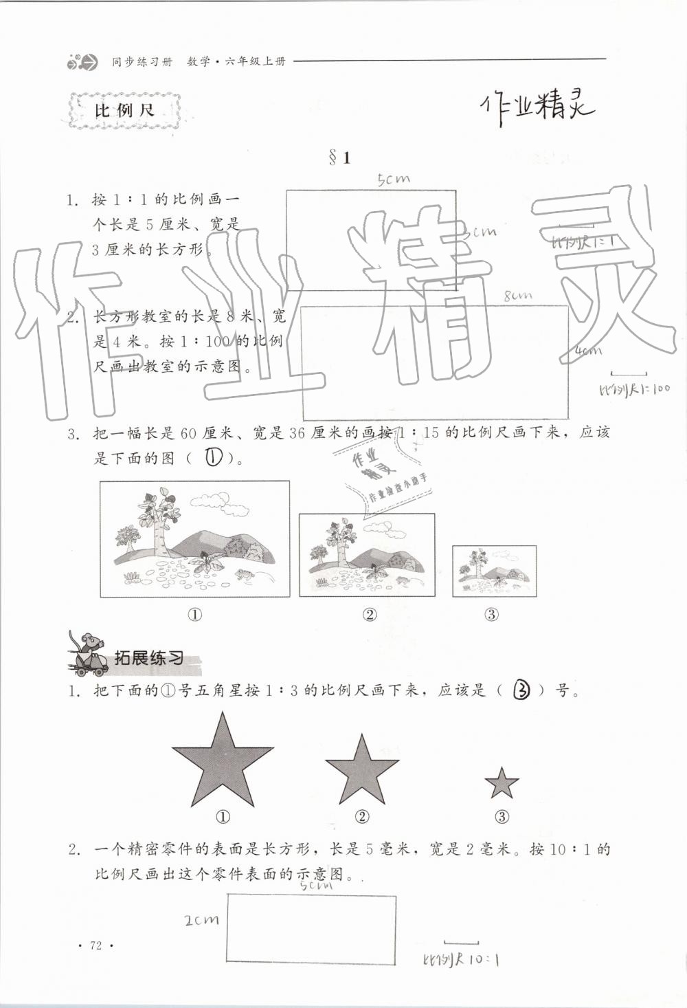 2019年同步練習(xí)冊(cè)六年級(jí)數(shù)學(xué)上冊(cè)冀教版河北教育出版社 第72頁