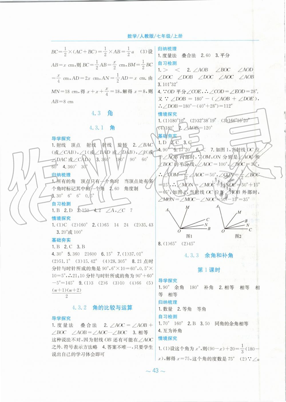 2019年新编基础训练七年级数学上册人教版 第19页