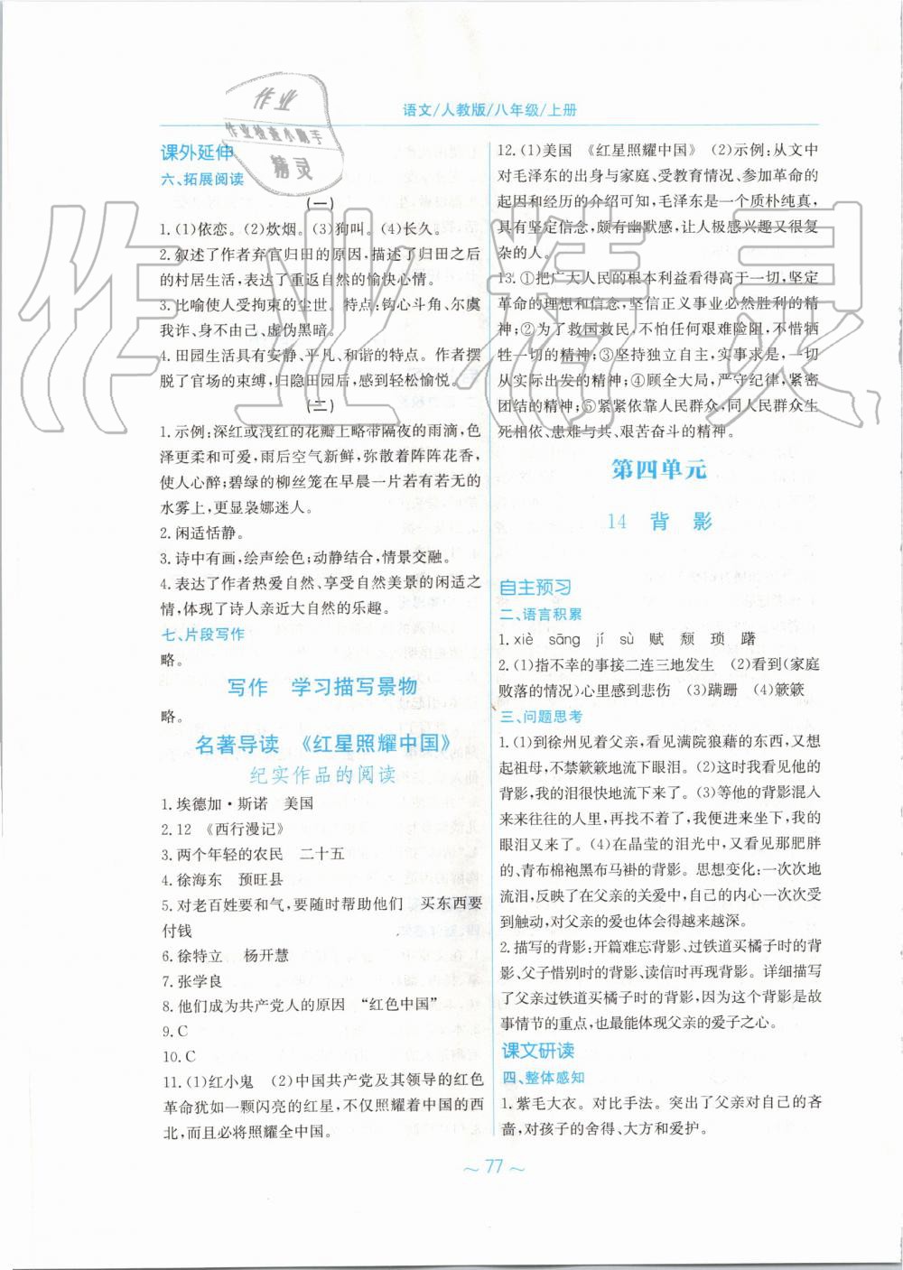 2019年新編基礎(chǔ)訓(xùn)練八年級(jí)語(yǔ)文上冊(cè)人教版 第13頁(yè)