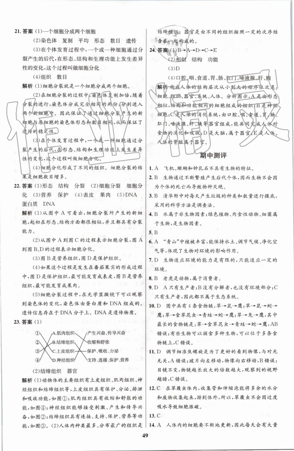 2019年初中同步学考优化设计七年级生物上册人教版 第21页