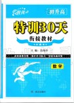 2019年特訓30天銜接教材九年級數學上冊武漢出版社