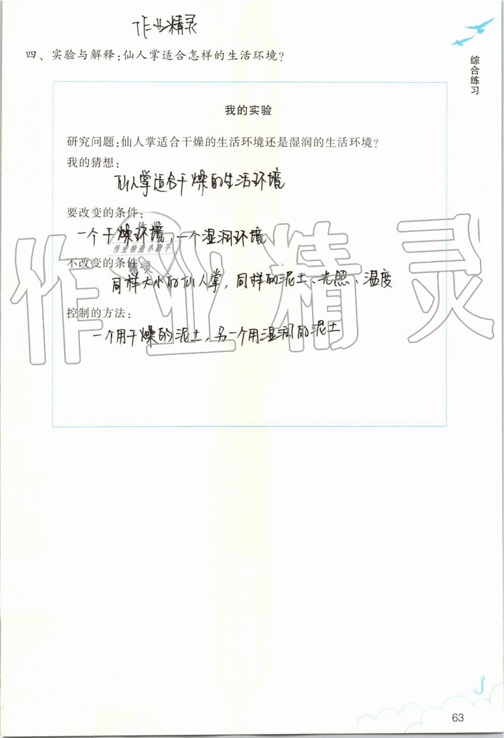 2019年作业本五年级科学上册教科版浙江教育出版社 第63页