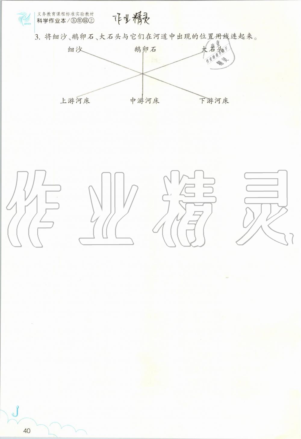 2019年作業(yè)本五年級科學(xué)上冊教科版浙江教育出版社 第40頁