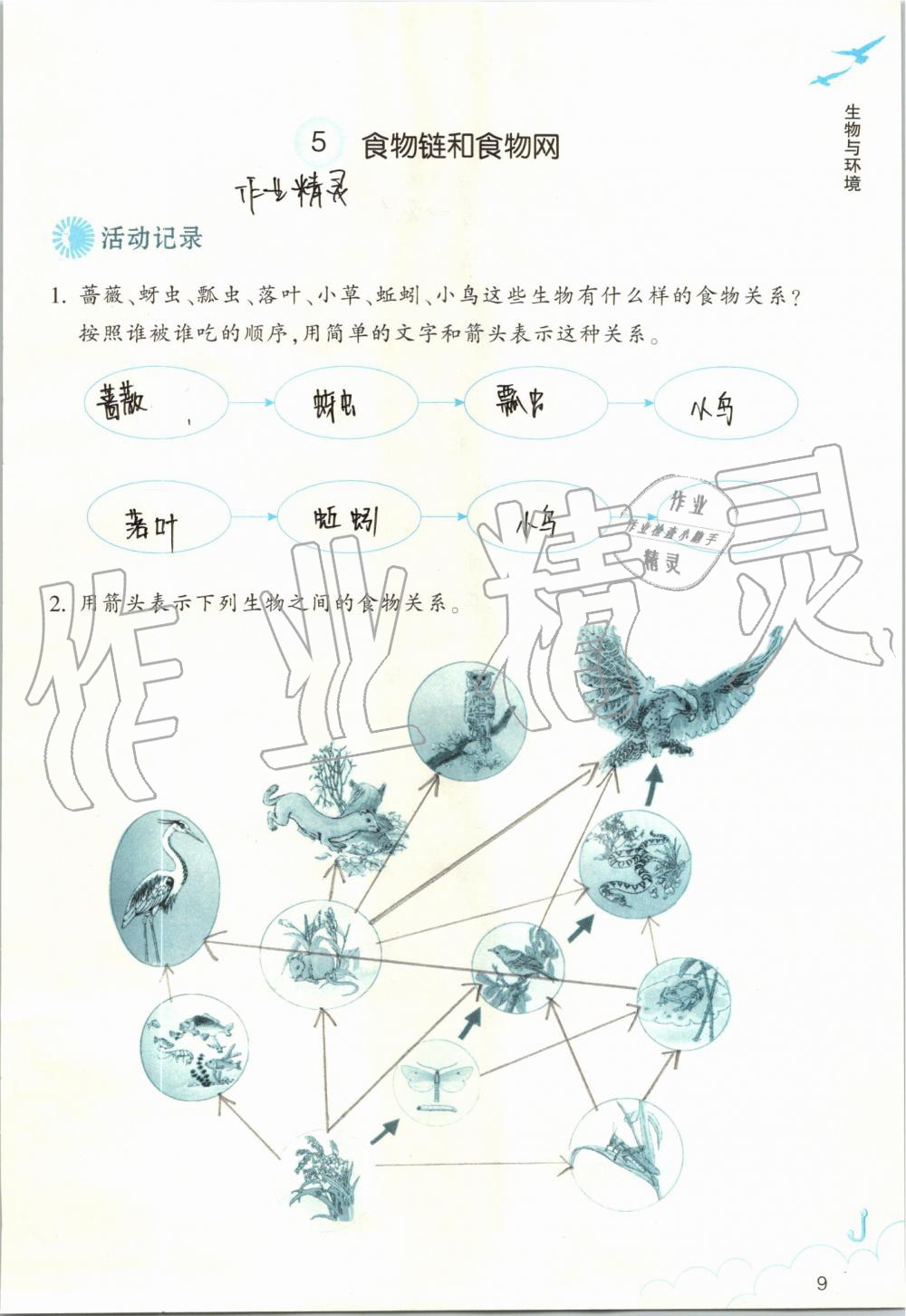 2019年作业本五年级科学上册教科版浙江教育出版社 第9页