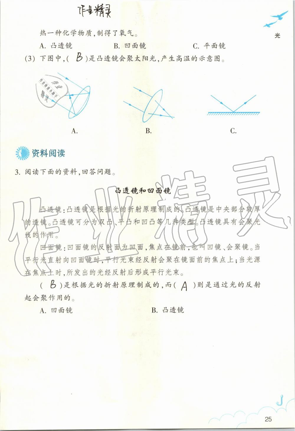 2019年作業(yè)本五年級科學(xué)上冊教科版浙江教育出版社 第25頁