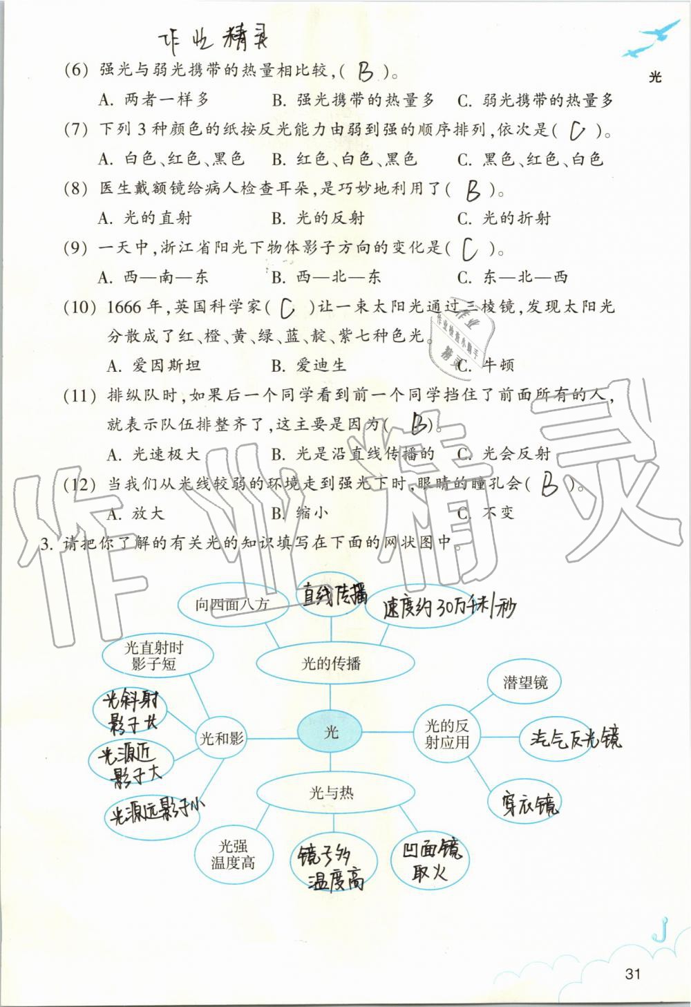 2019年作业本五年级科学上册教科版浙江教育出版社 第31页