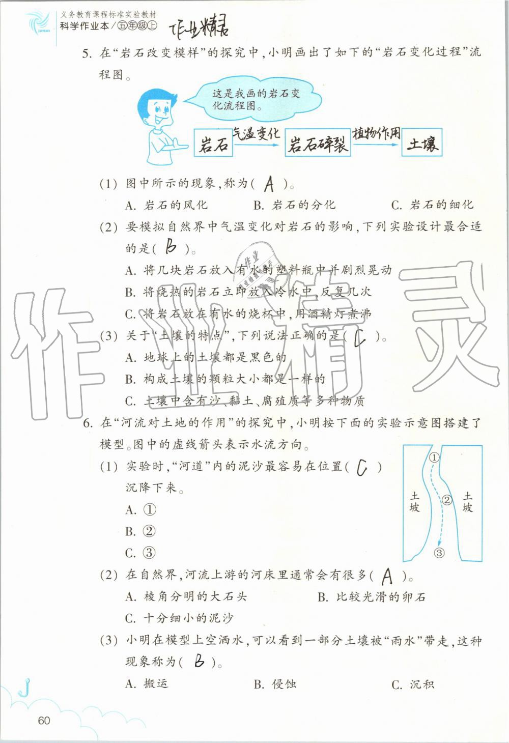 2019年作業(yè)本五年級(jí)科學(xué)上冊(cè)教科版浙江教育出版社 第60頁(yè)