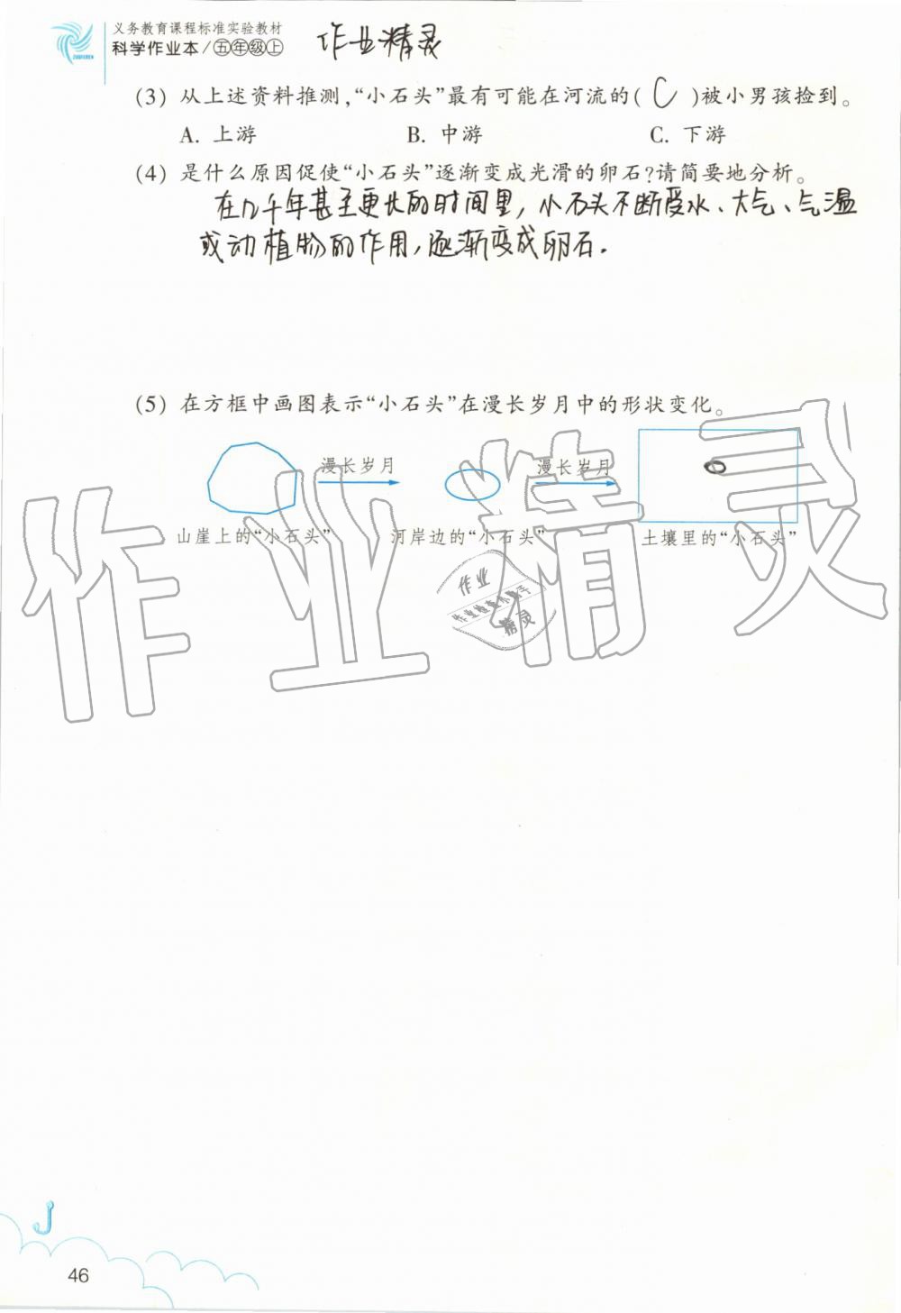 2019年作业本五年级科学上册教科版浙江教育出版社 第46页