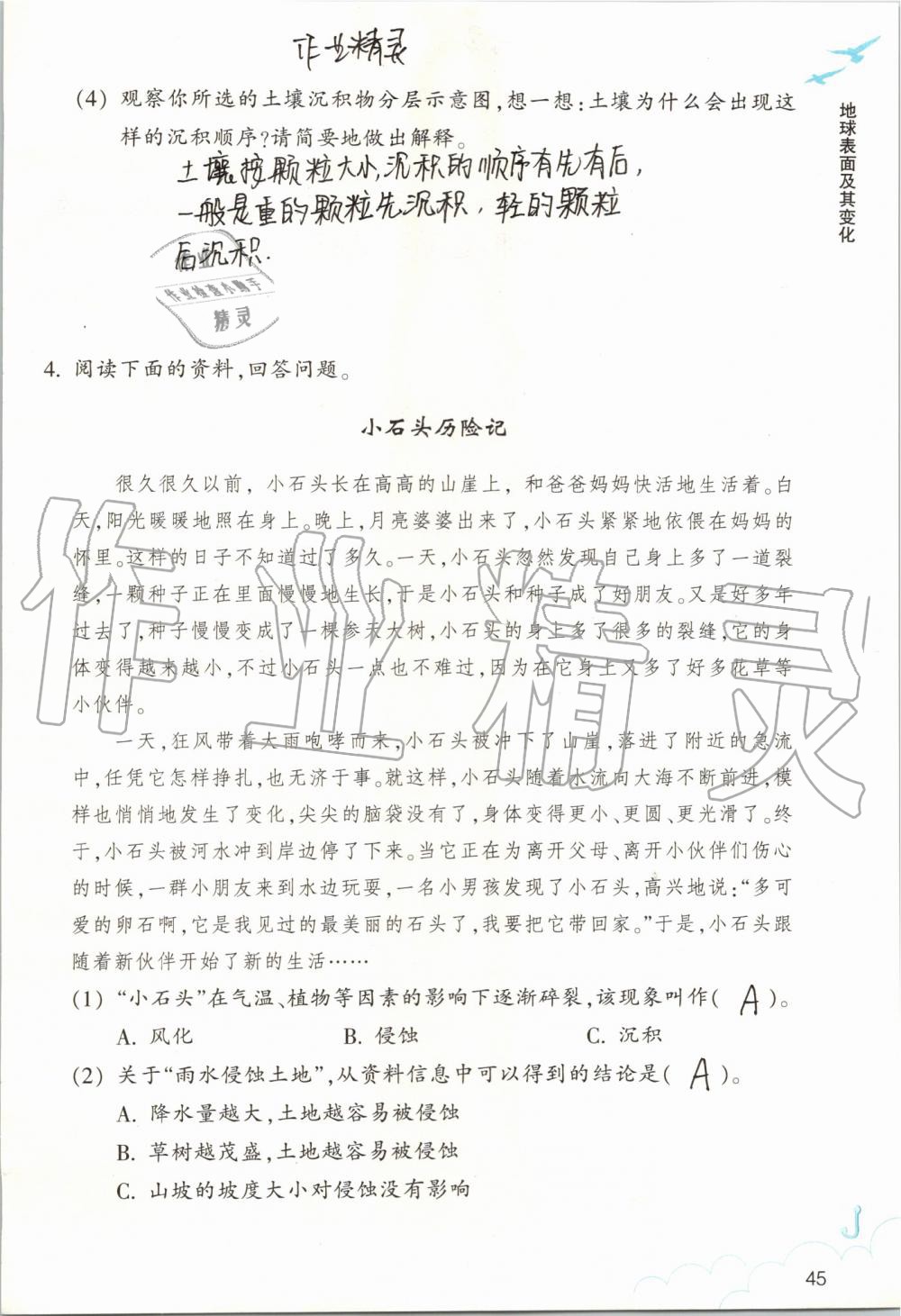 2019年作業(yè)本五年級科學(xué)上冊教科版浙江教育出版社 第45頁