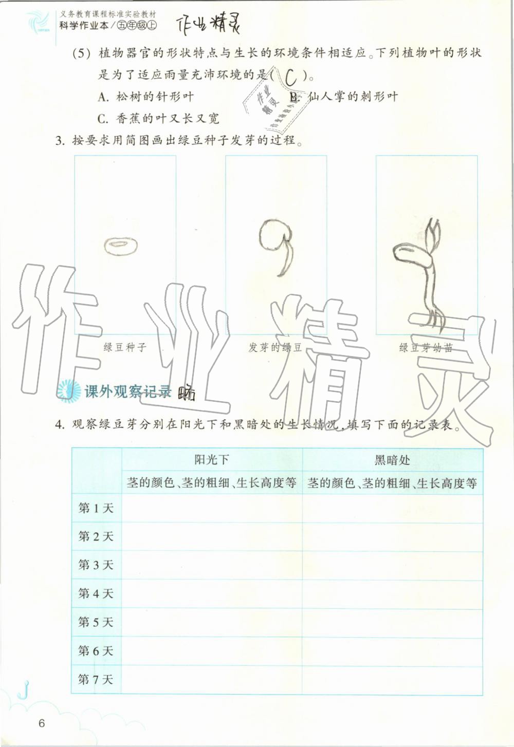 2019年作业本五年级科学上册教科版浙江教育出版社 第6页