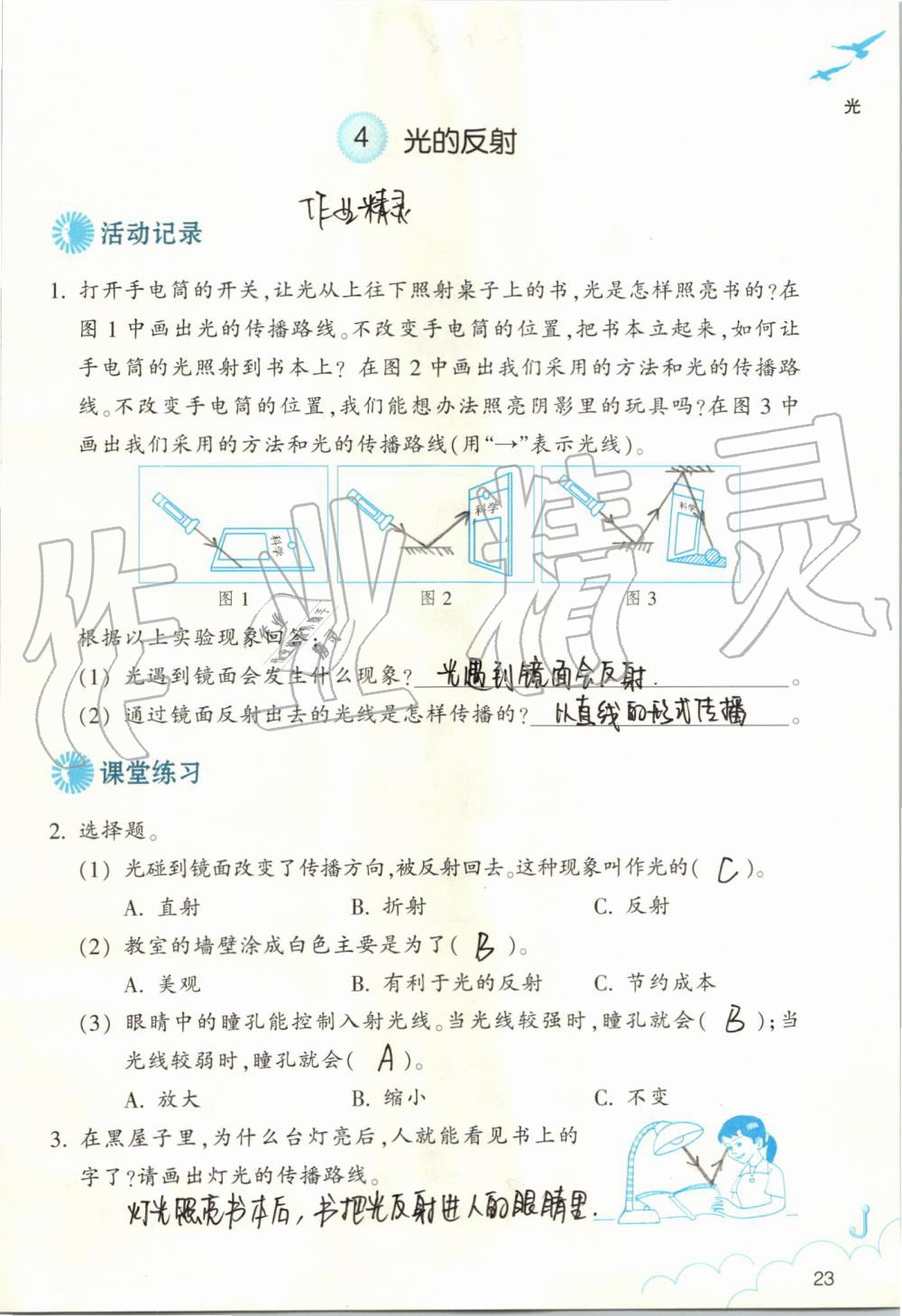 2019年作業(yè)本五年級科學(xué)上冊教科版浙江教育出版社 第23頁