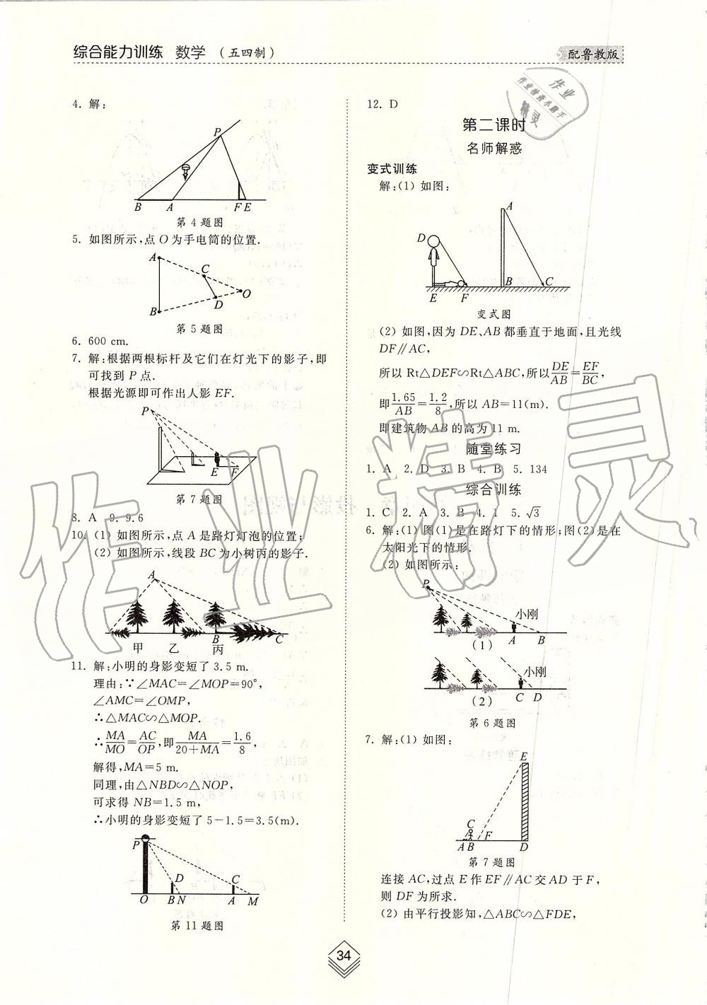 2019年综合能力训练九年级数学上册鲁教版五四制 第33页