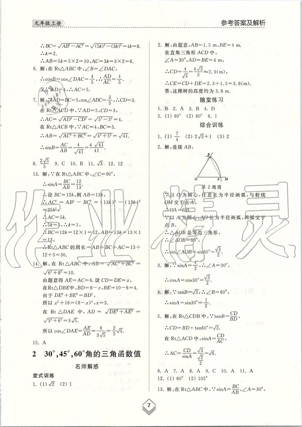 2019年综合能力训练九年级数学上册鲁教版五四制 第6页