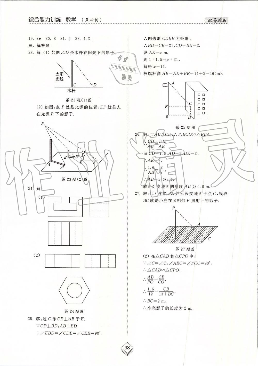 2019年综合能力训练九年级数学上册鲁教版五四制 第37页