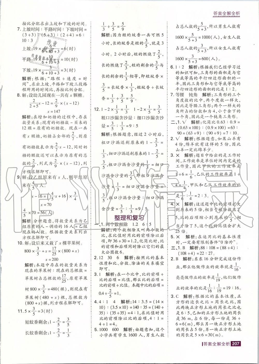 2019年考点集训与满分备考六年级数学上册人教版 第31页