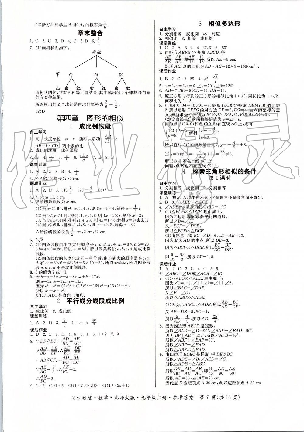 2019年同步精練九年級數(shù)學(xué)上冊北師大版 第7頁