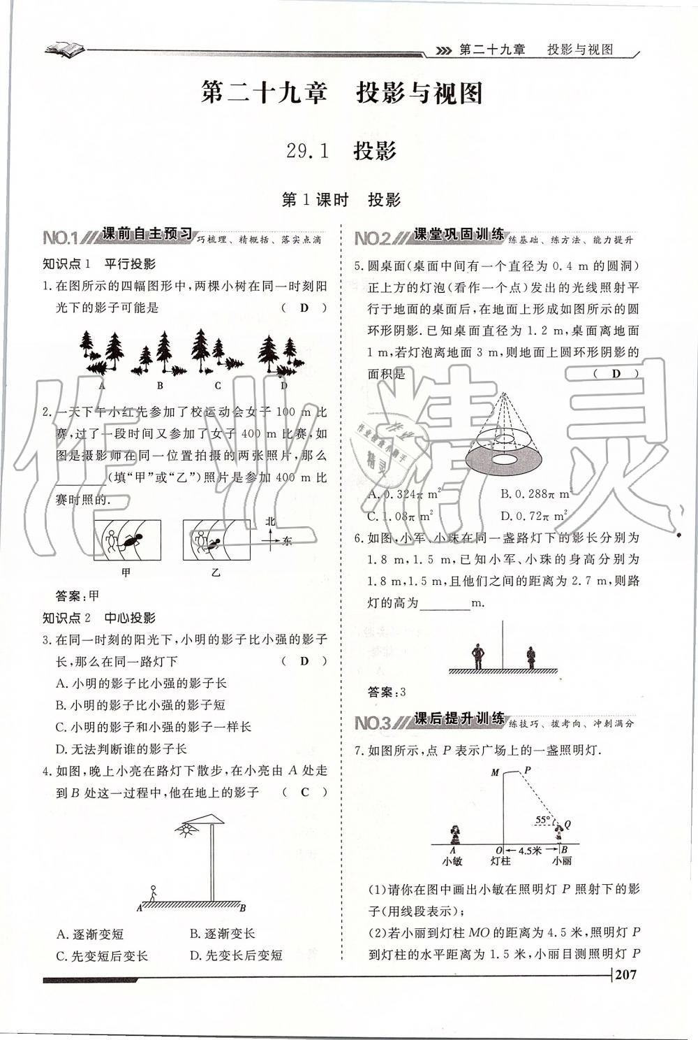 2019年標(biāo)準(zhǔn)課堂作業(yè)九年級數(shù)學(xué)全一冊人教版 第207頁