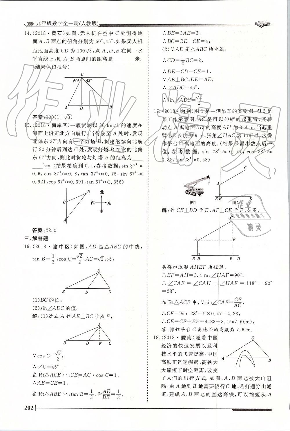 2019年标准课堂作业九年级数学全一册人教版 第202页