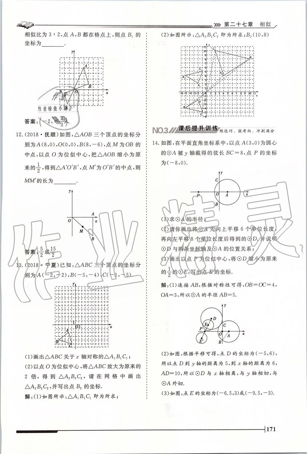 2019年标准课堂作业九年级数学全一册人教版 第171页