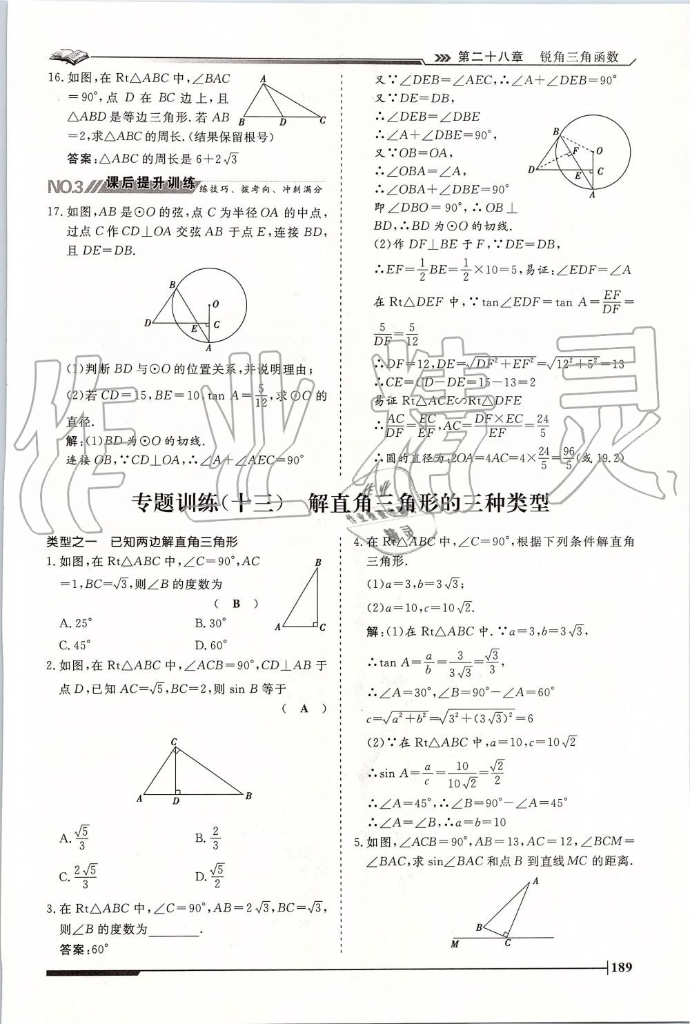 2019年標(biāo)準(zhǔn)課堂作業(yè)九年級(jí)數(shù)學(xué)全一冊(cè)人教版 第189頁(yè)