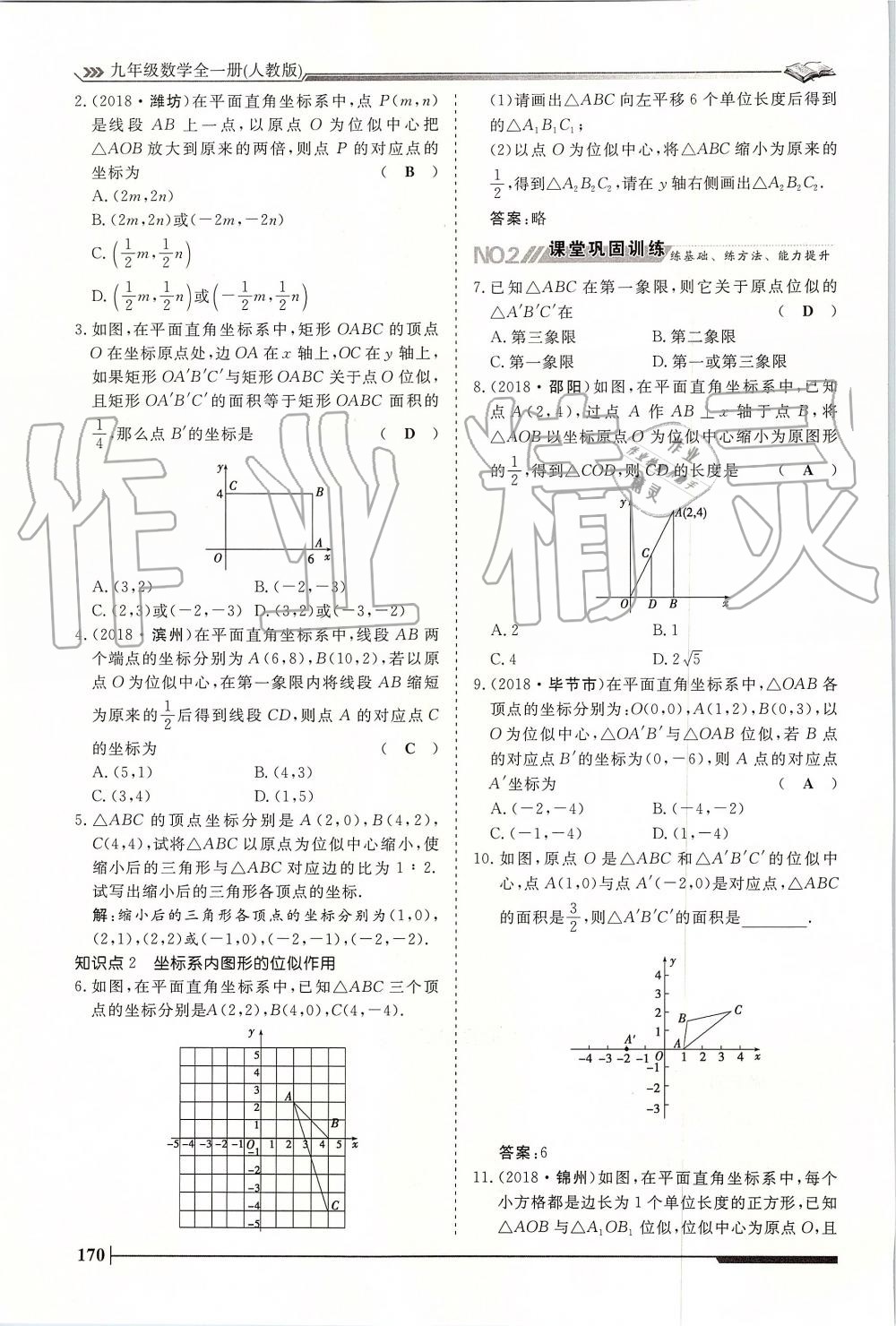 2019年标准课堂作业九年级数学全一册人教版 第170页