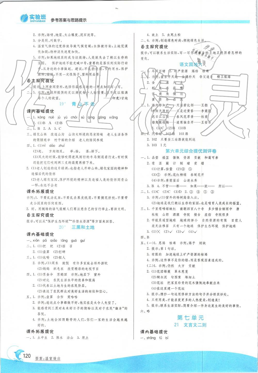 2019年實(shí)驗(yàn)班提優(yōu)訓(xùn)練六年級(jí)語(yǔ)文上冊(cè)人教版 第8頁(yè)