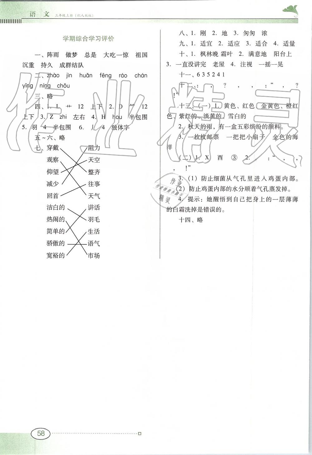 2019年南方新课堂金牌学案三年级语文上册人教版 第7页