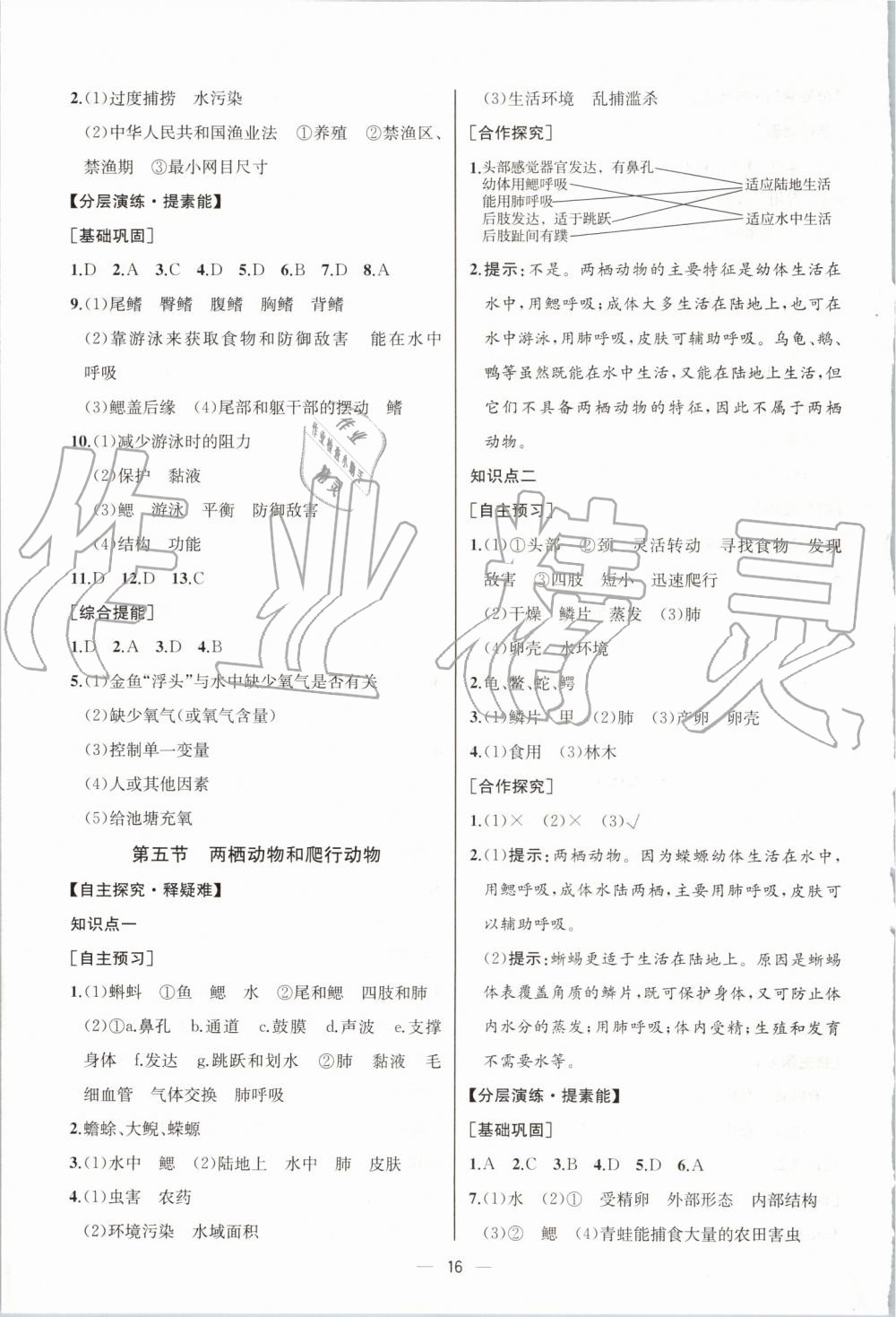 2019年同步学历案课时练八年级生物学上册人教版河北专版 第4页