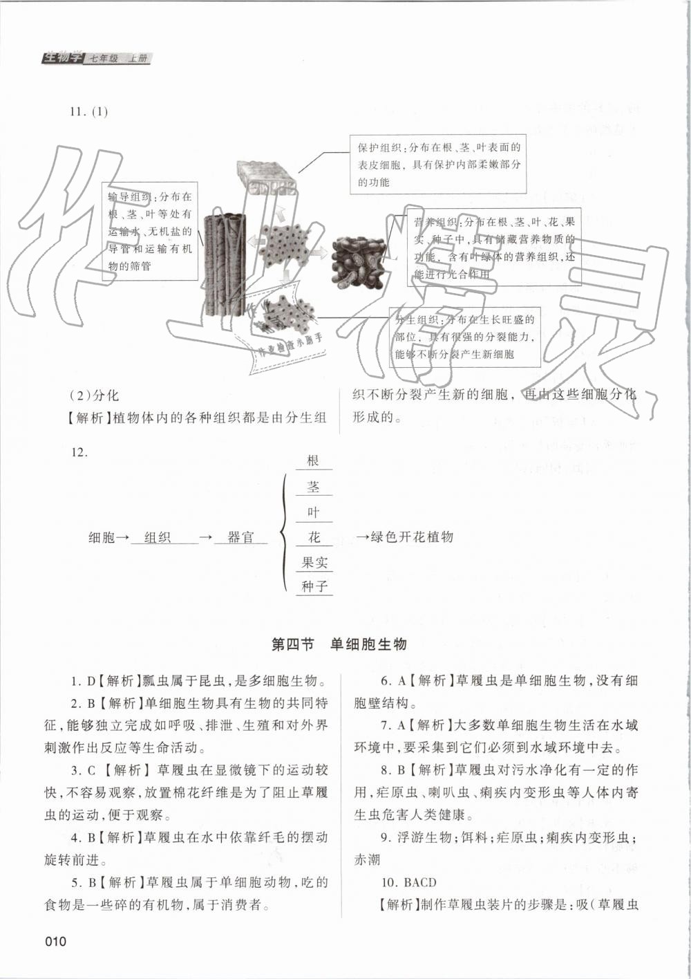 2019年学习质量监测七年级生物学上册人教版 第10页