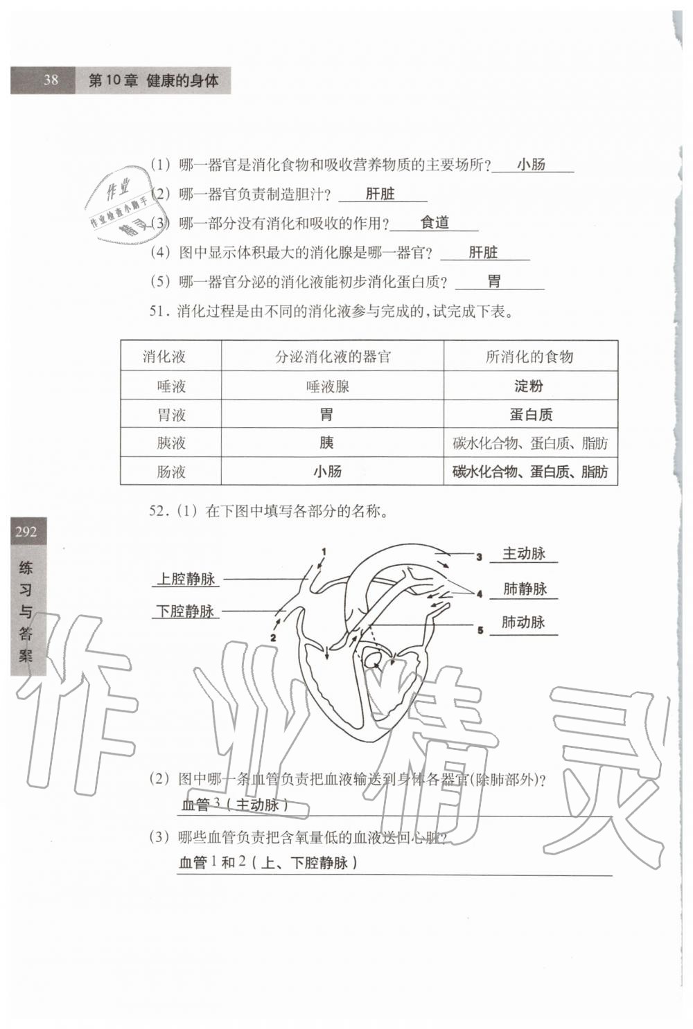 2019年練習(xí)部分七年級(jí)科學(xué)第一學(xué)期牛津上海版 第38頁(yè)