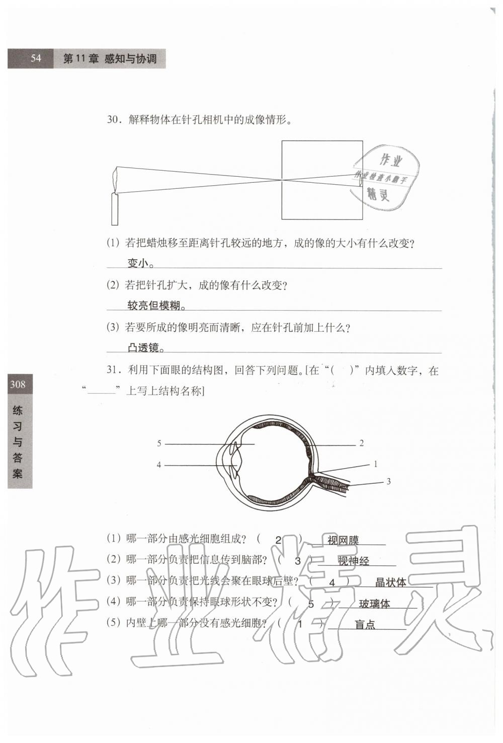 2019年練習(xí)部分七年級(jí)科學(xué)第一學(xué)期牛津上海版 第54頁(yè)