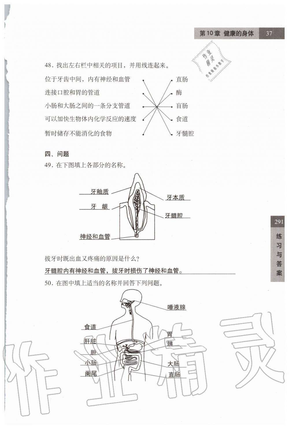 2019年練習部分七年級科學第一學期牛津上海版 第37頁