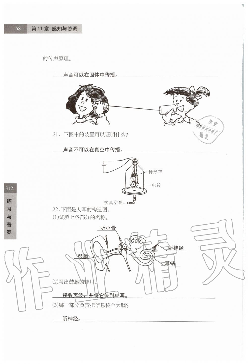 2019年练习部分七年级科学第一学期牛津上海版 第58页