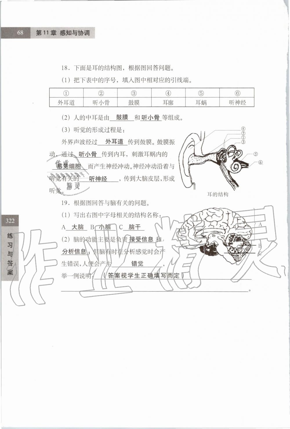 2019年练习部分七年级科学第一学期牛津上海版 第68页