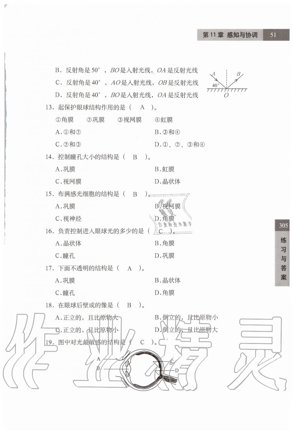 2019年練習(xí)部分七年級(jí)科學(xué)第一學(xué)期牛津上海版 第51頁(yè)