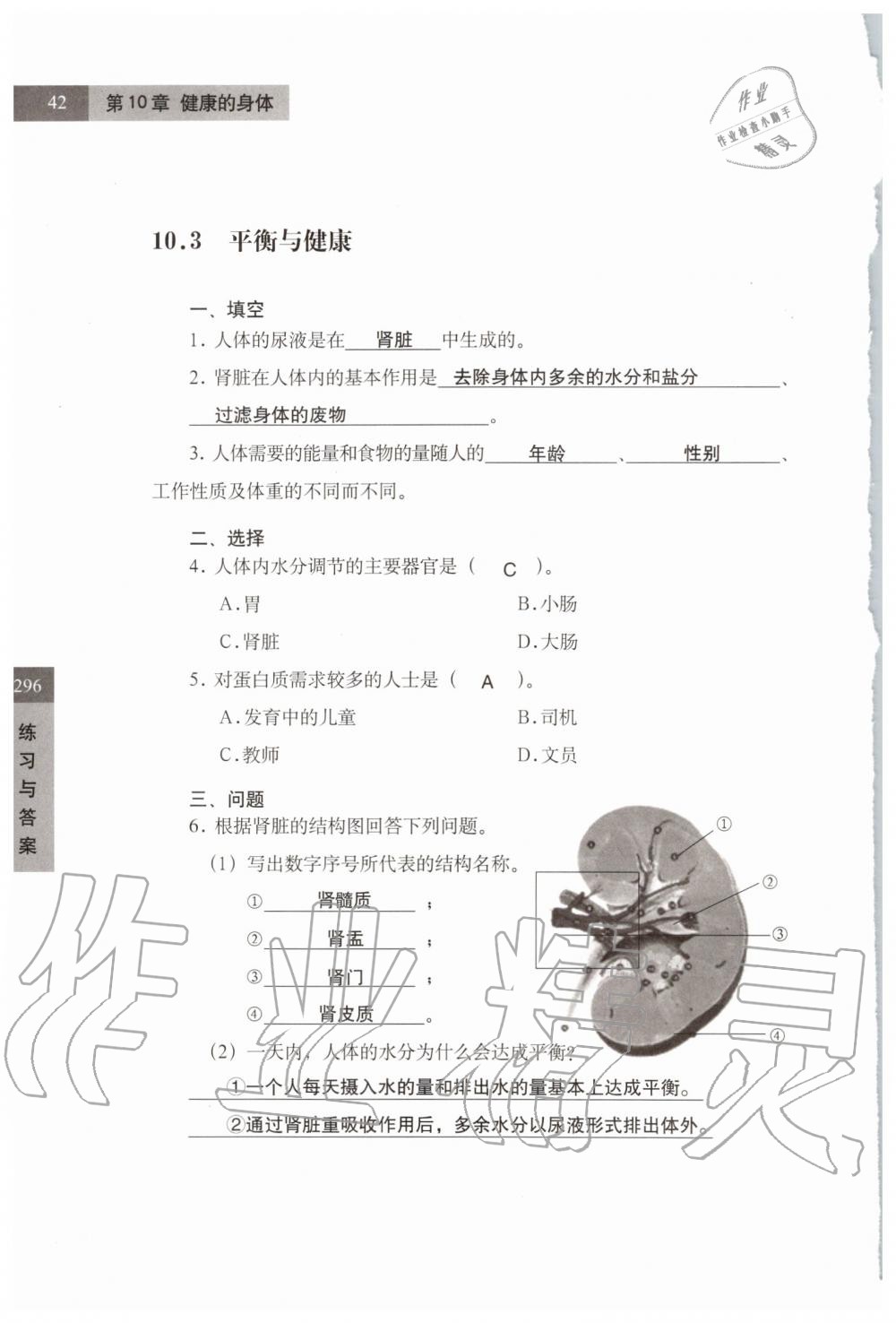 2019年练习部分七年级科学第一学期牛津上海版 第42页