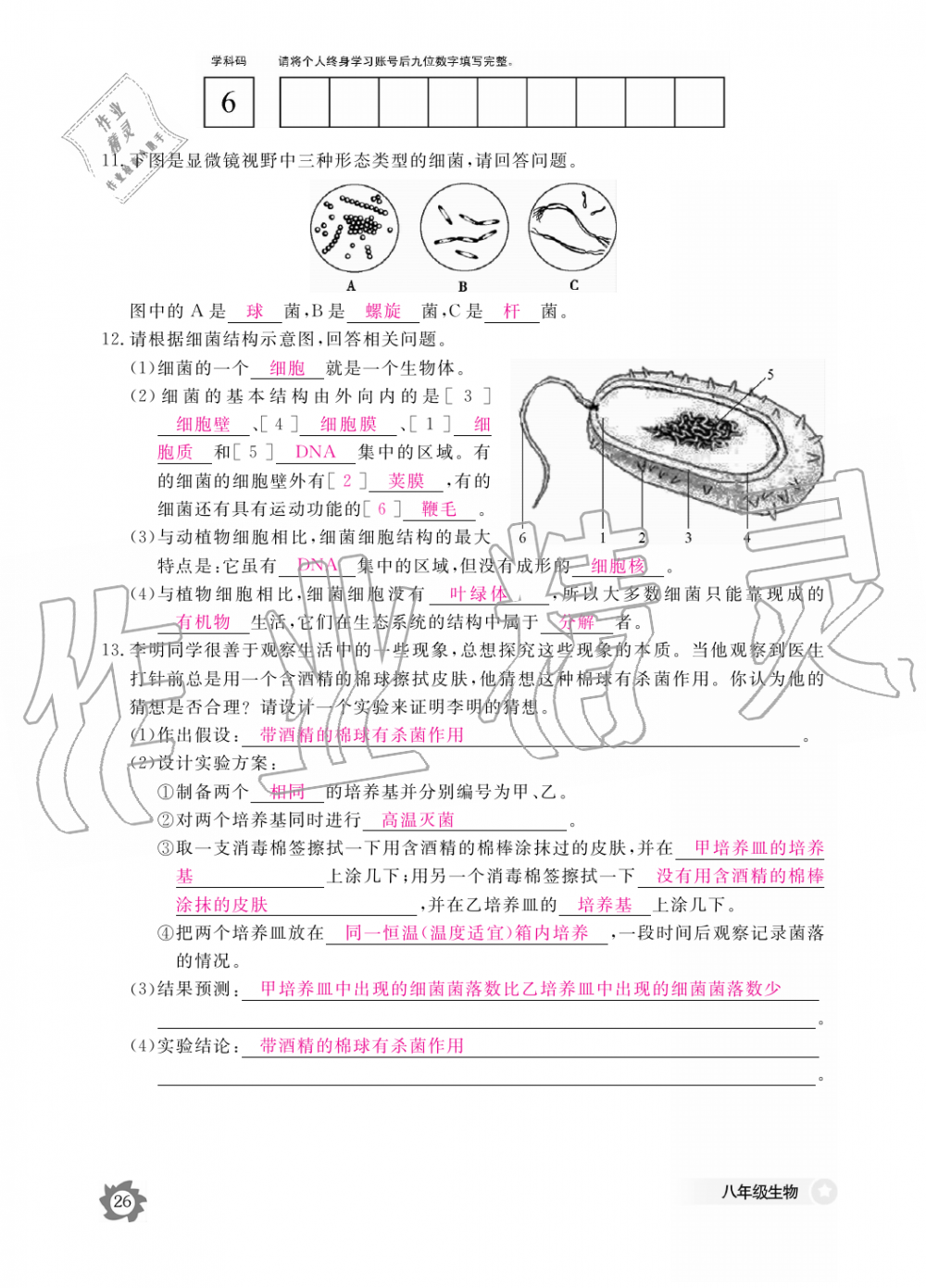 2019年生物作業(yè)本八年級上冊人教版江西教育出版社 第26頁