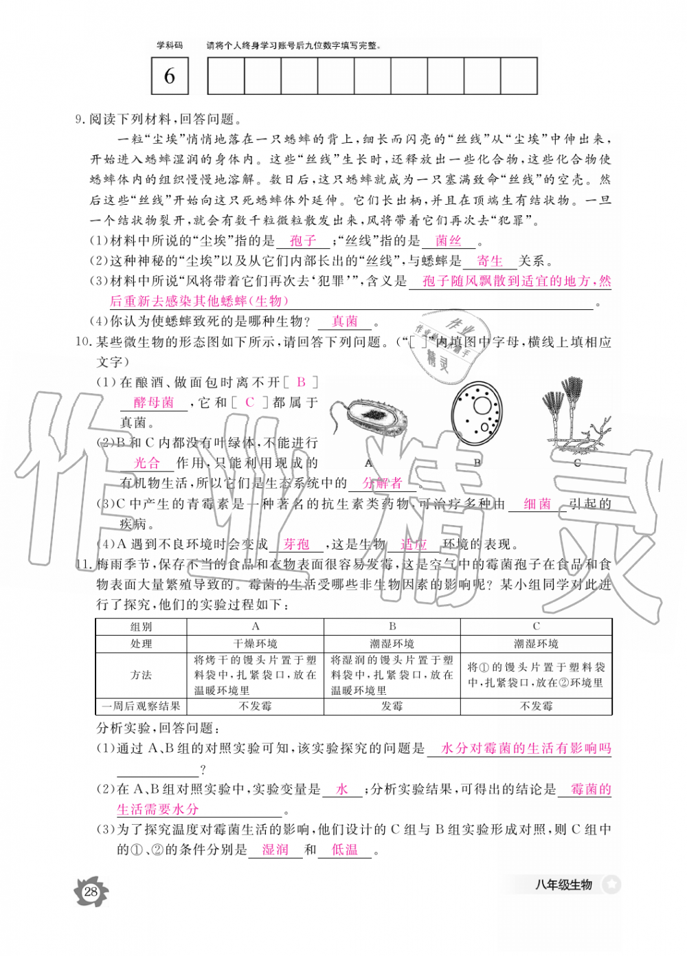 2019年生物作業(yè)本八年級上冊人教版江西教育出版社 第28頁