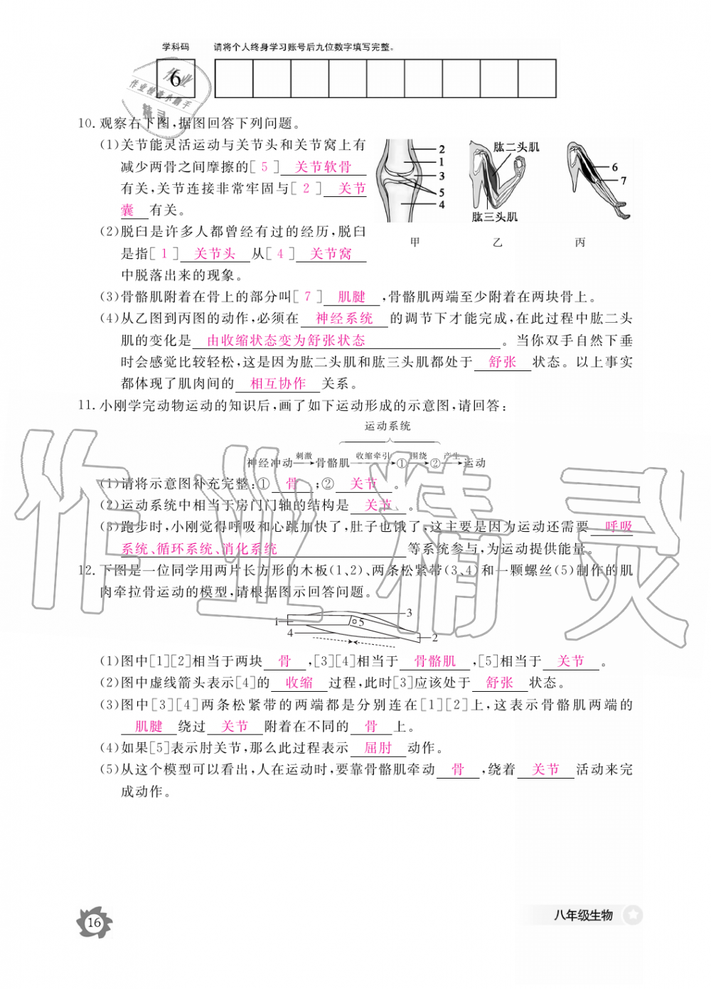 2019年生物作業(yè)本八年級上冊人教版江西教育出版社 第16頁