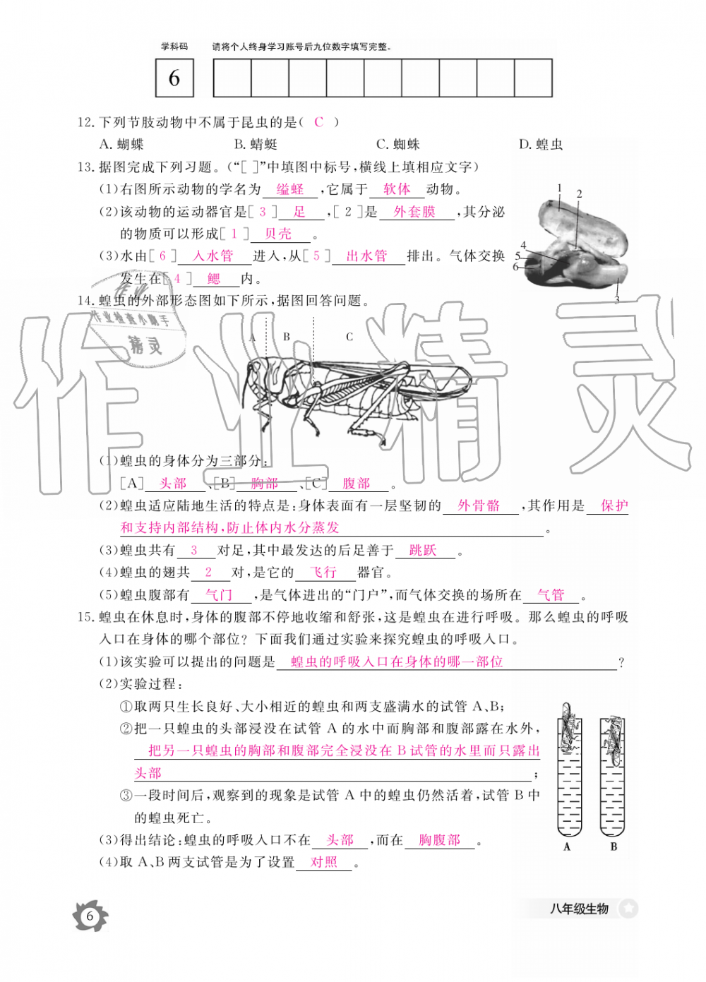 2019年生物作業(yè)本八年級上冊人教版江西教育出版社 第6頁