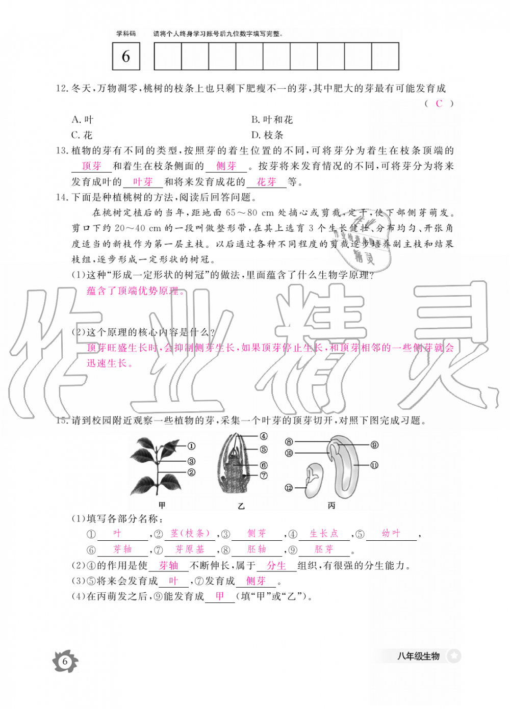 2019年生物作業(yè)本八年級上冊河北少兒版江西教育出版社 第6頁